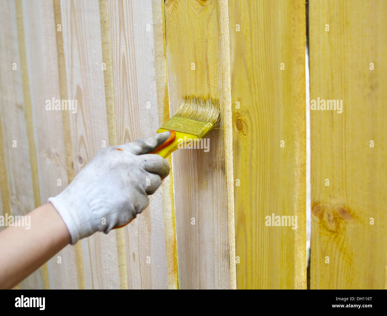 Garden shed wooden fence hi-res stock photography and images - Alamy