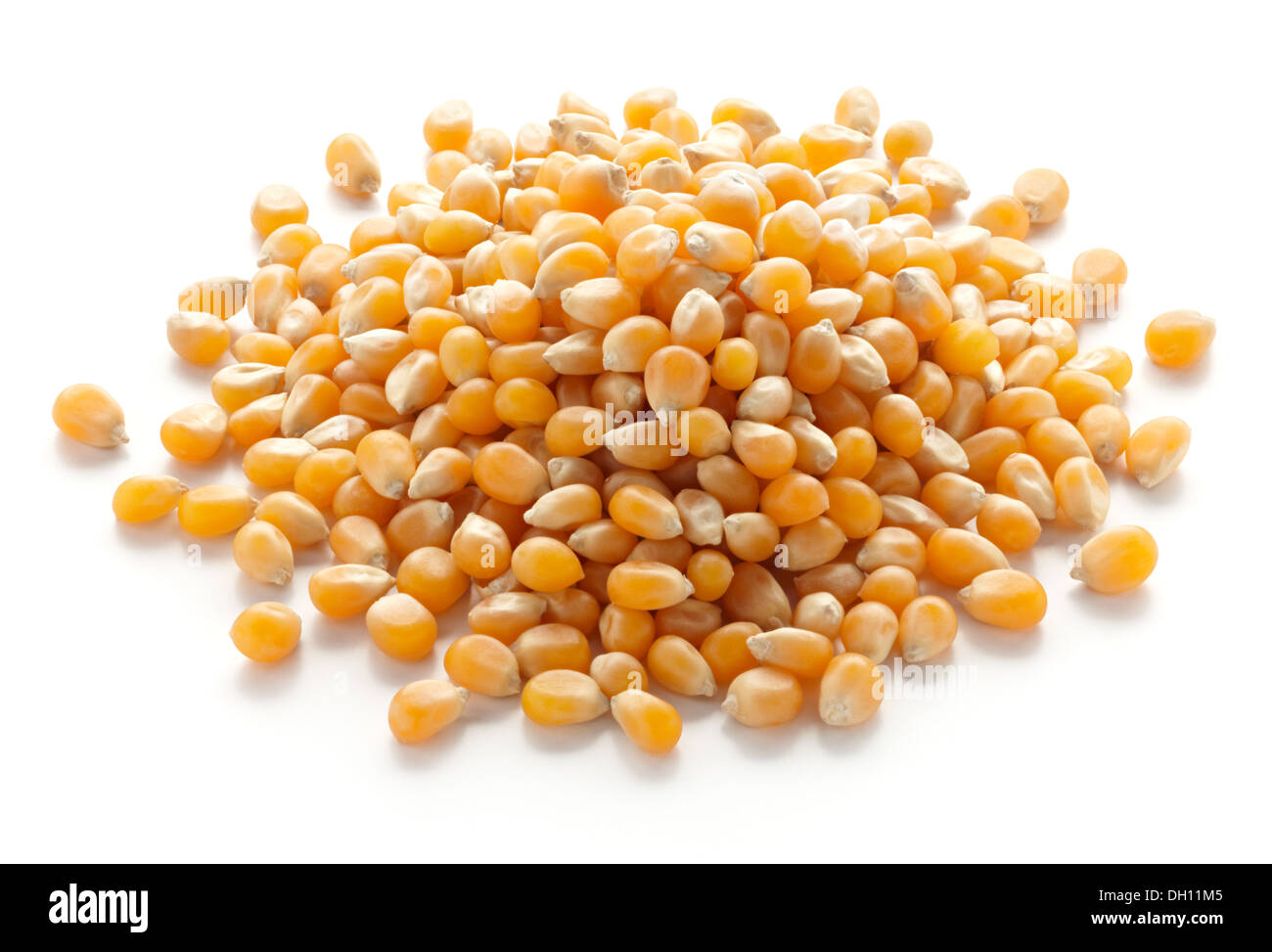 pile of maize isolated on white background Stock Photo