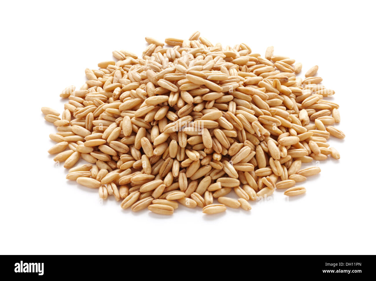 pile of unmilled oat grains isolated on white Stock Photo