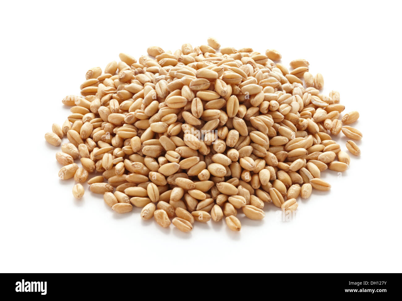 pile of wheat kernels isolated on white Stock Photo - Alamy
