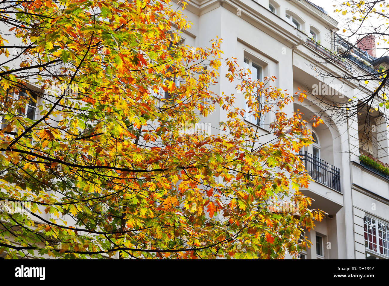 urban mansion of the 19th century on Fasanenstrasse in Berlin in autumn Stock Photo