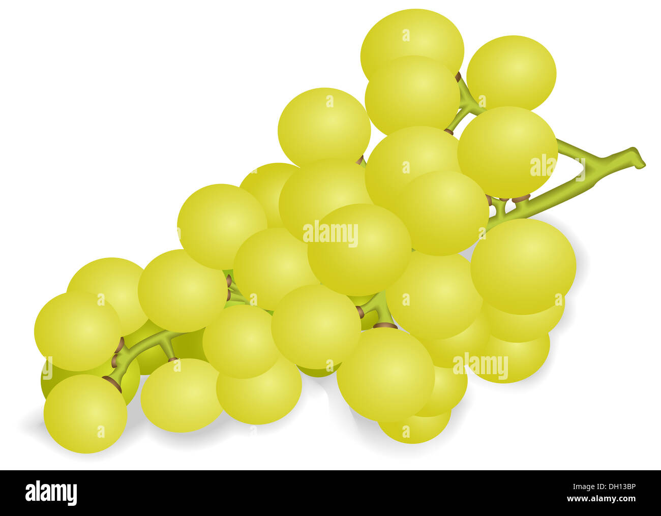 Bunch of white grapes Stock Photo Alamy