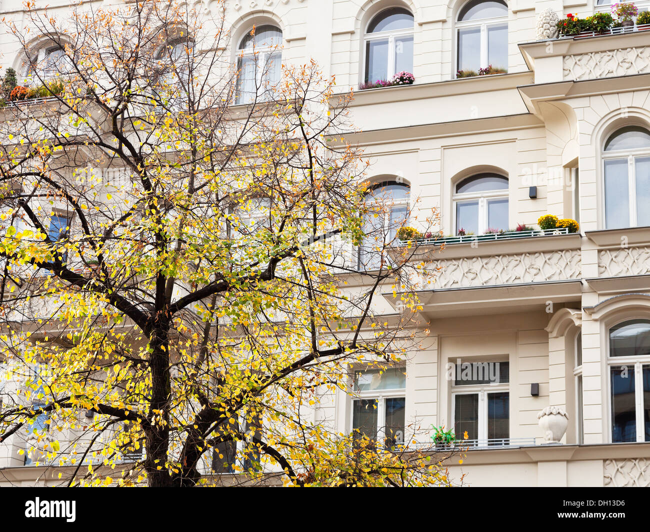 Linden tree house hires stock photography and images Alamy
