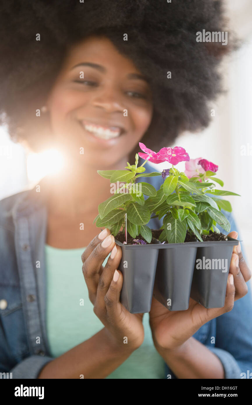 Mixed race woman holding potted flowers Stock Photo