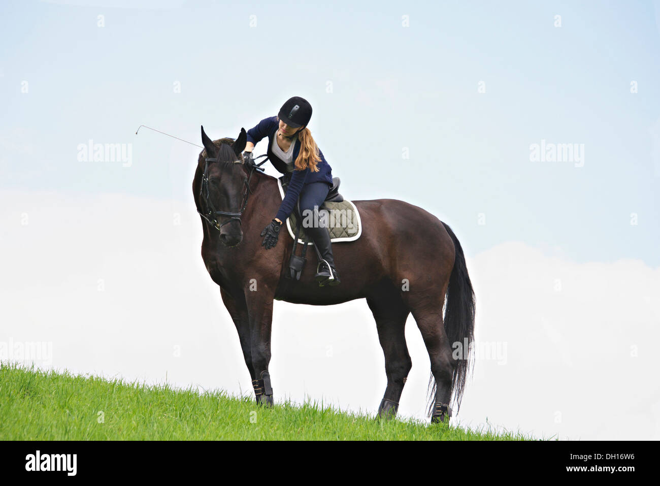 Woman Riding Horse in Rural Landscape, Baden Wuerttemberg, Germany, Europe Stock Photo