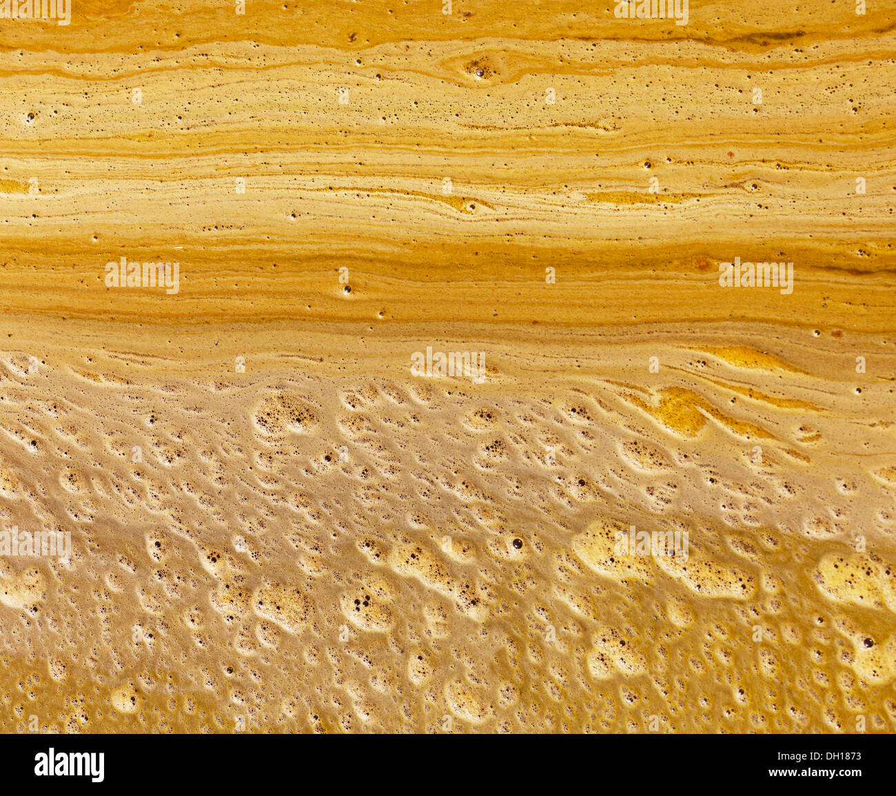 Scum Stock Photos & Scum Stock Images - Alamy