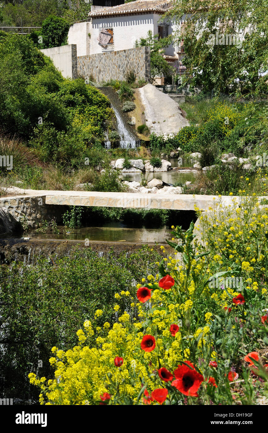 Stream through village with poppies in the foreground, Velez Blanco, Almeria Province, Andalusia, Spain, Western Europe. Stock Photo