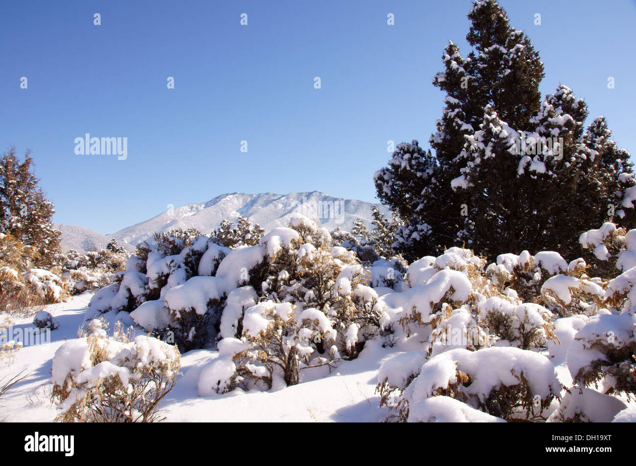 winter view of taos mountains from arroyo seco new mexico nm scenic