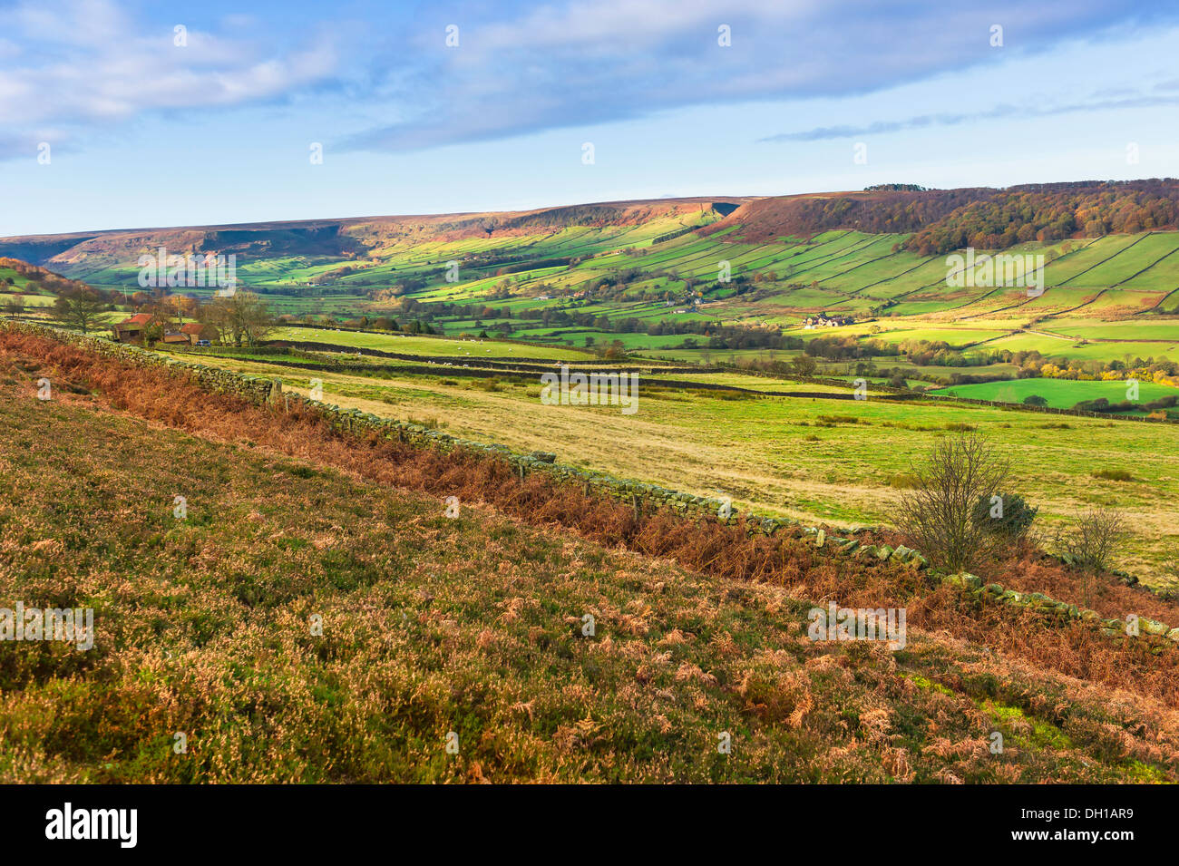 View across the dale (valley) at Fryup in the heart of the North York