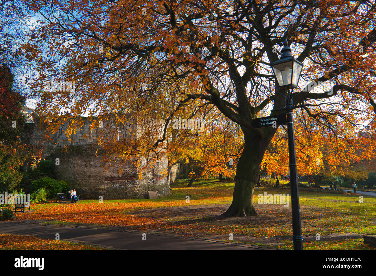 Museum gardens in york hires stock photography and images Alamy