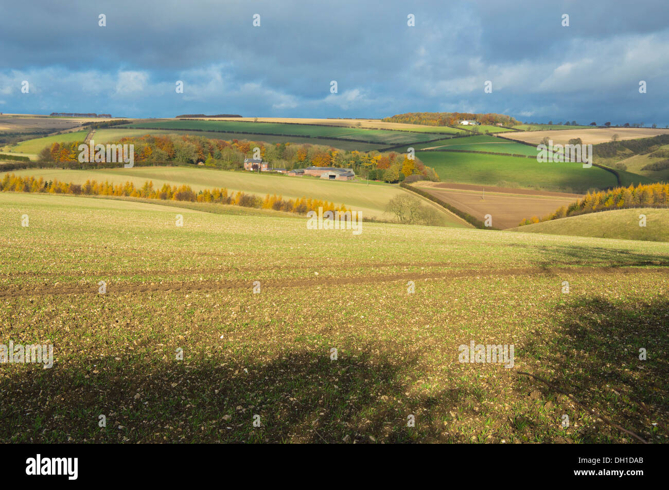 Landscape, farming, pastoral, near Fimber, Sledmere, East; Yorkshire, Wolds, England Stock Photo