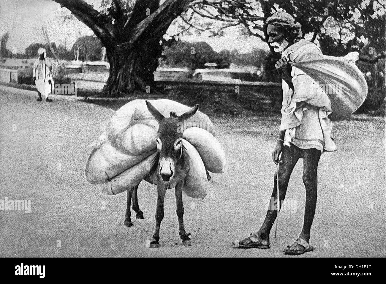 old vintage photo of Dhobi washerman and his Donkey India Stock ...