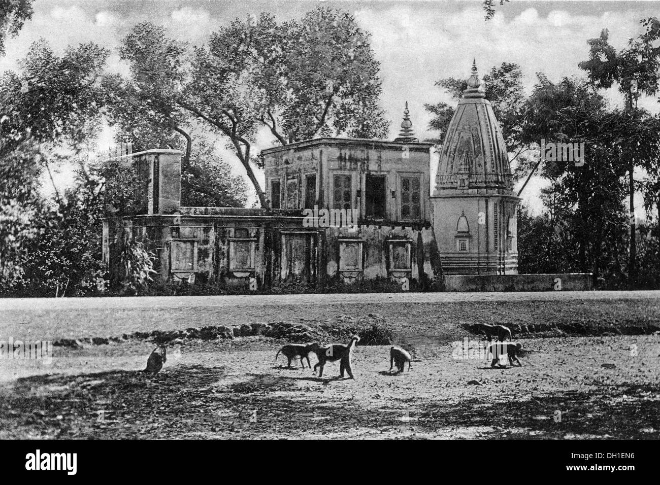 old vintage 1900s photo of monkey temple Roorkee Haridwar district uttarakhand India asia Stock Photo