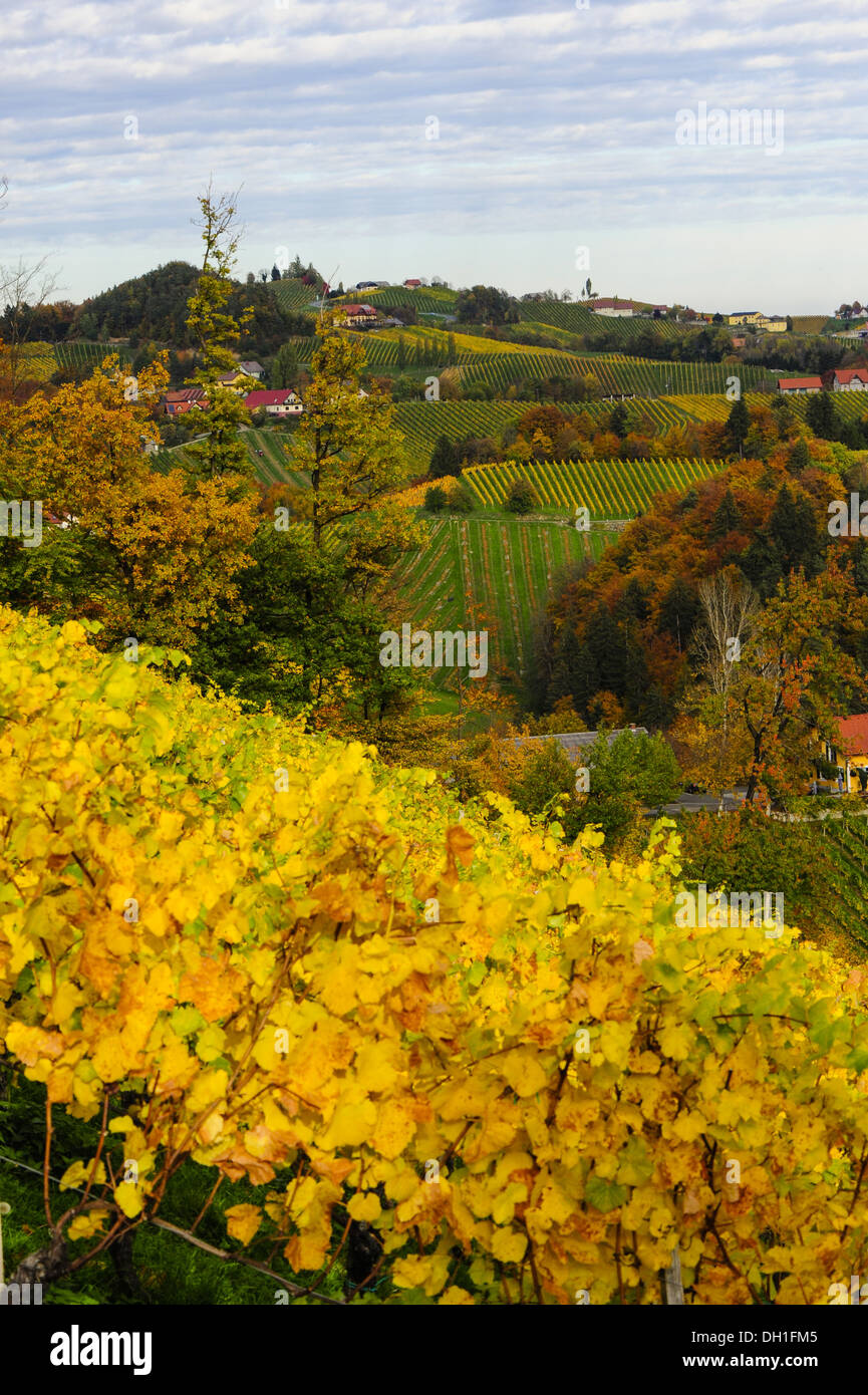 Suedsteirische Weinstrasse, Southern Styria wine route in autumn, Austria, Styria, Southern Styria, Glanz Stock Photo