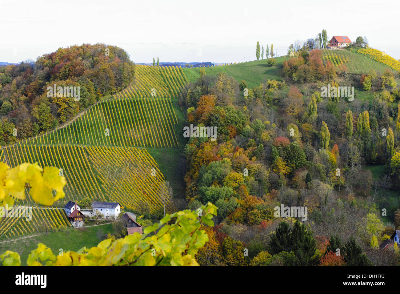 Suedsteirische Weinstrasse, Southern Styria wine route in autumn, Austria, Styria, Southern Styria, Glanz Stock Photo