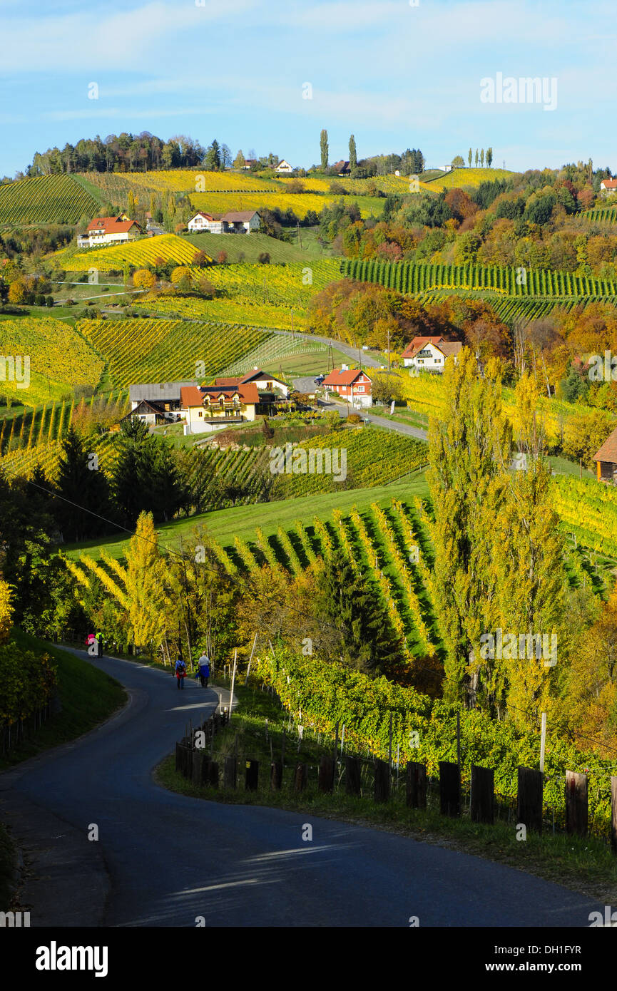 Suedsteirische Weinstrasse, Southern Styria wine route in autumn, Austria, Styria, Southern Styria, Glanz Stock Photo