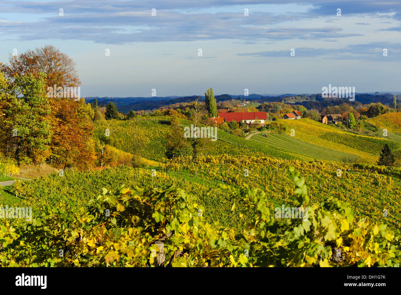 Suedsteirische Weinstrasse, Southern Styria wine route in autumn, Austria, Styria, Southern Styria, Glanz Stock Photo