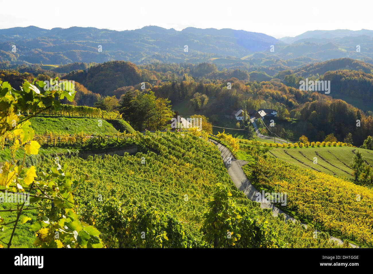 Suedsteirische Weinstrasse, Southern Styria wine route in autumn, Austria, Styria, Southern Styria, Glanz Stock Photo