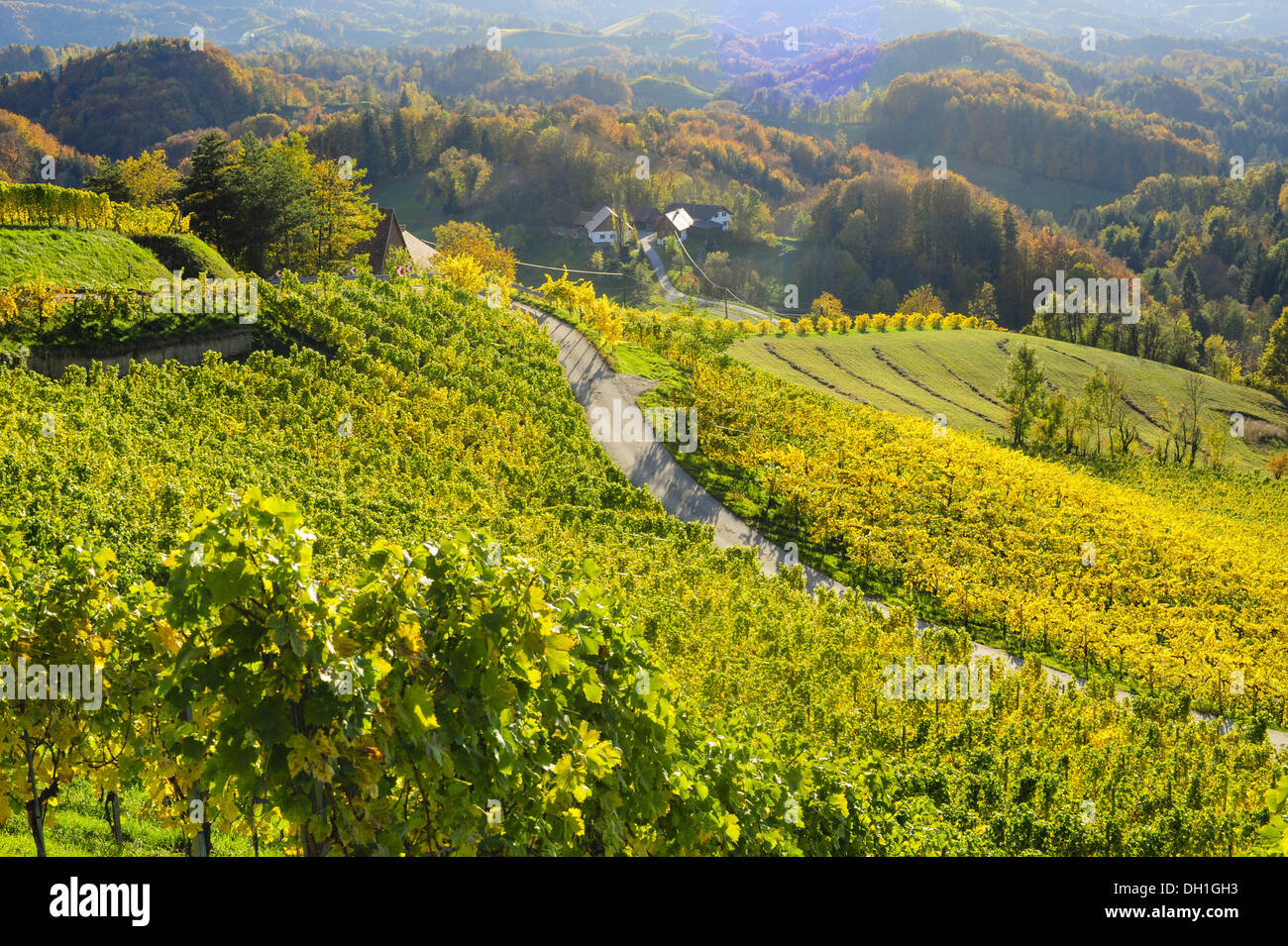 Suedsteirische Weinstrasse, Southern Styria wine route in autumn, Austria, Styria, Southern Styria, Glanz Stock Photo