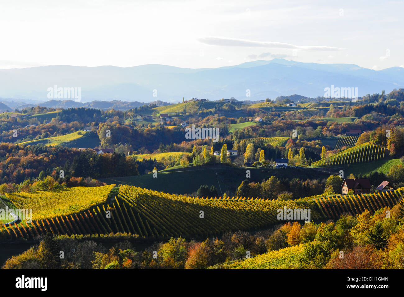 Suedsteirische Weinstrasse, Southern Styria wine route in autumn, Austria, Styria, Southern Styria, Glanz Stock Photo