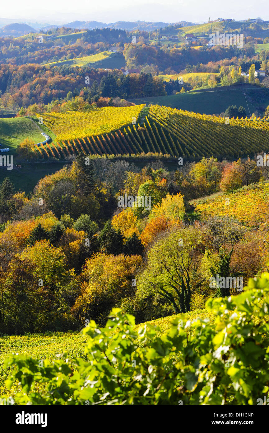 Suedsteirische Weinstrasse, Southern Styria wine route in autumn, Austria, Styria, Southern Styria, Glanz Stock Photo