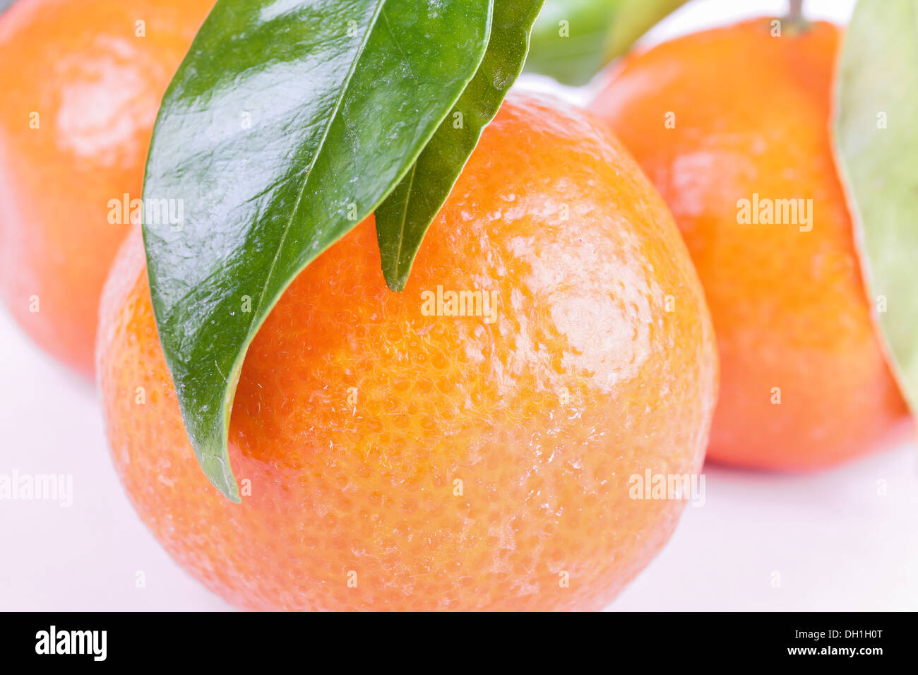 Mandarin closeup on white background Stock Photo - Alamy