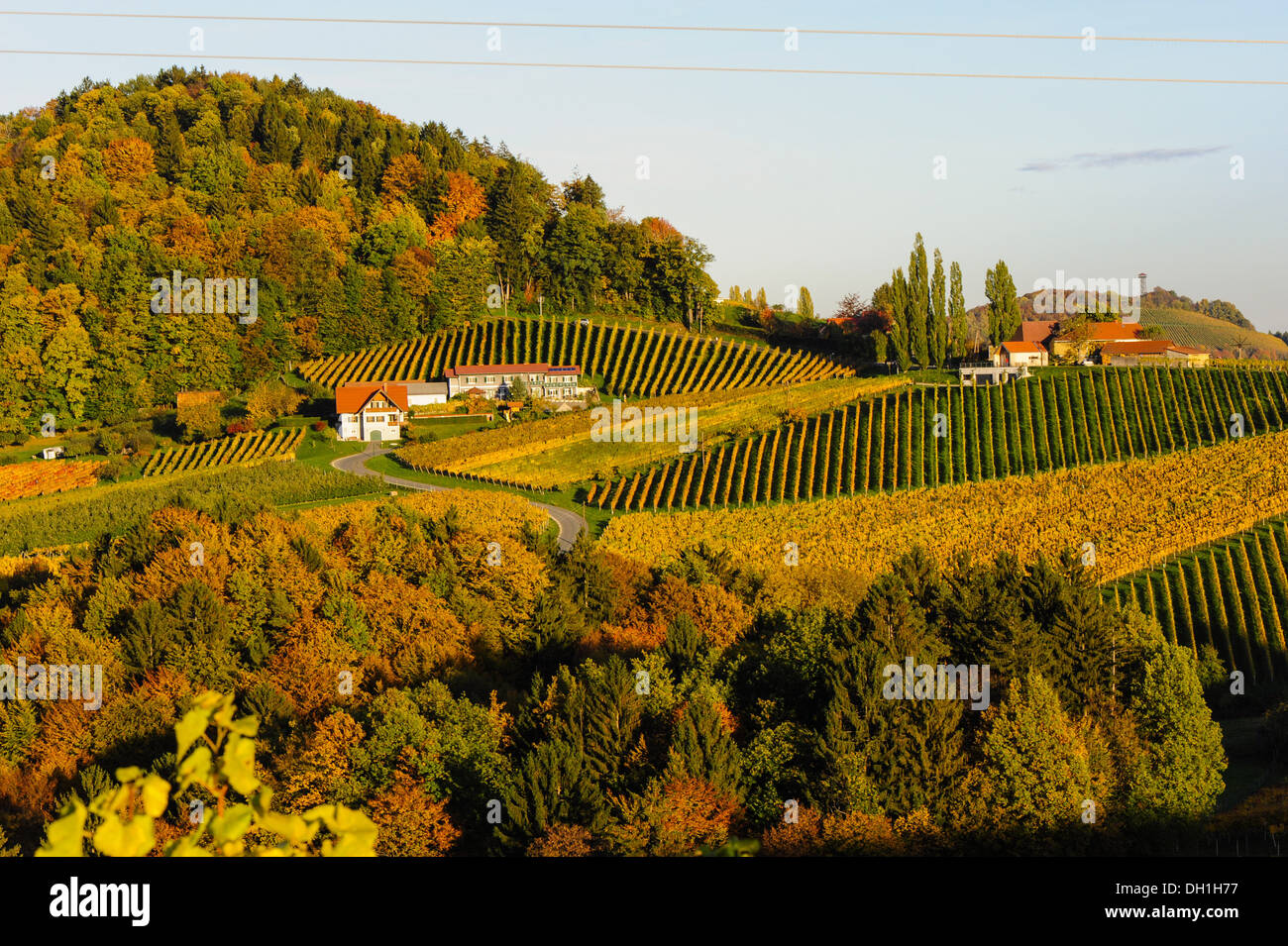 Suedsteirische Weinstrasse, Southern Styria wine route in autumn, Austria, Styria, Southern Styria, Gabersdorf Stock Photo