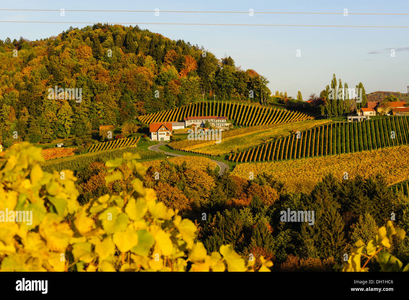 Suedsteirische Weinstrasse, Southern Styria wine route in autumn, Austria, Styria, Southern Styria, Gabersdorf Stock Photo