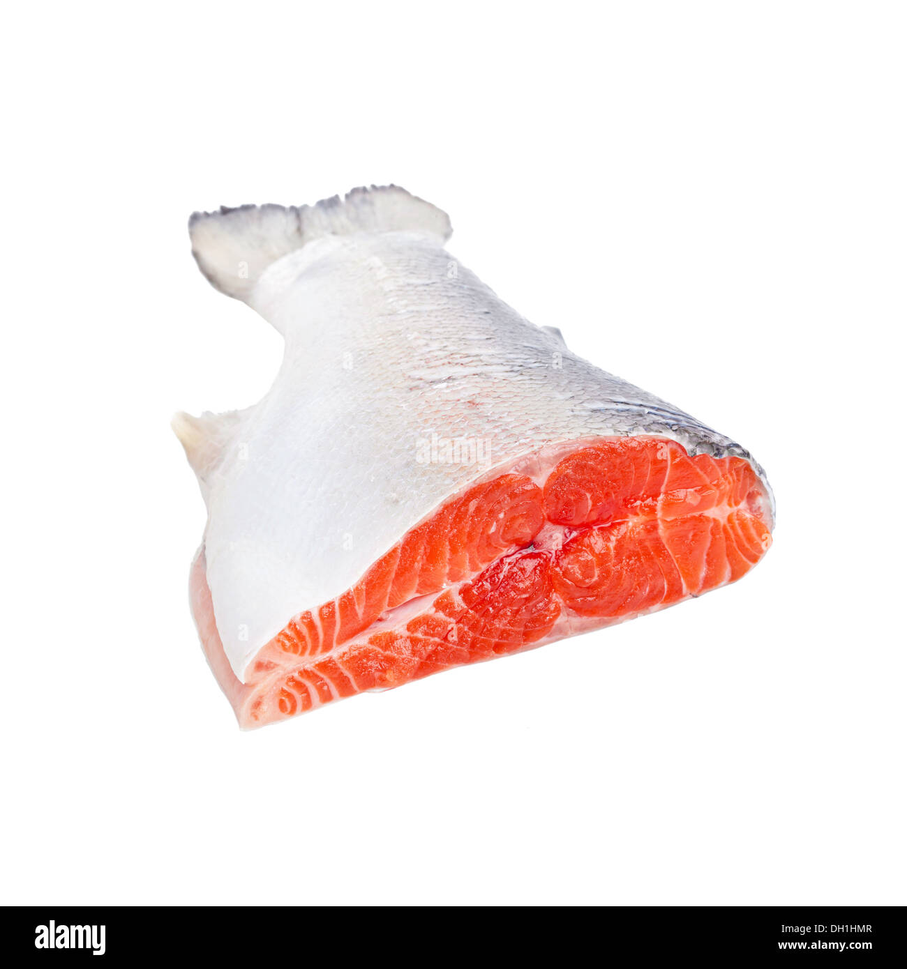 Trout isolated on white background Stock Photo - Alamy