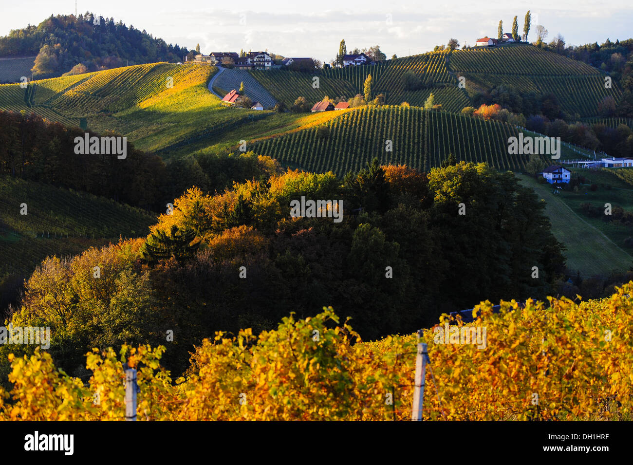 Suedsteirische Weinstrasse, Southern Styria wine route in autumn, Austria, Styria, Southern Styria, Ratsch Stock Photo