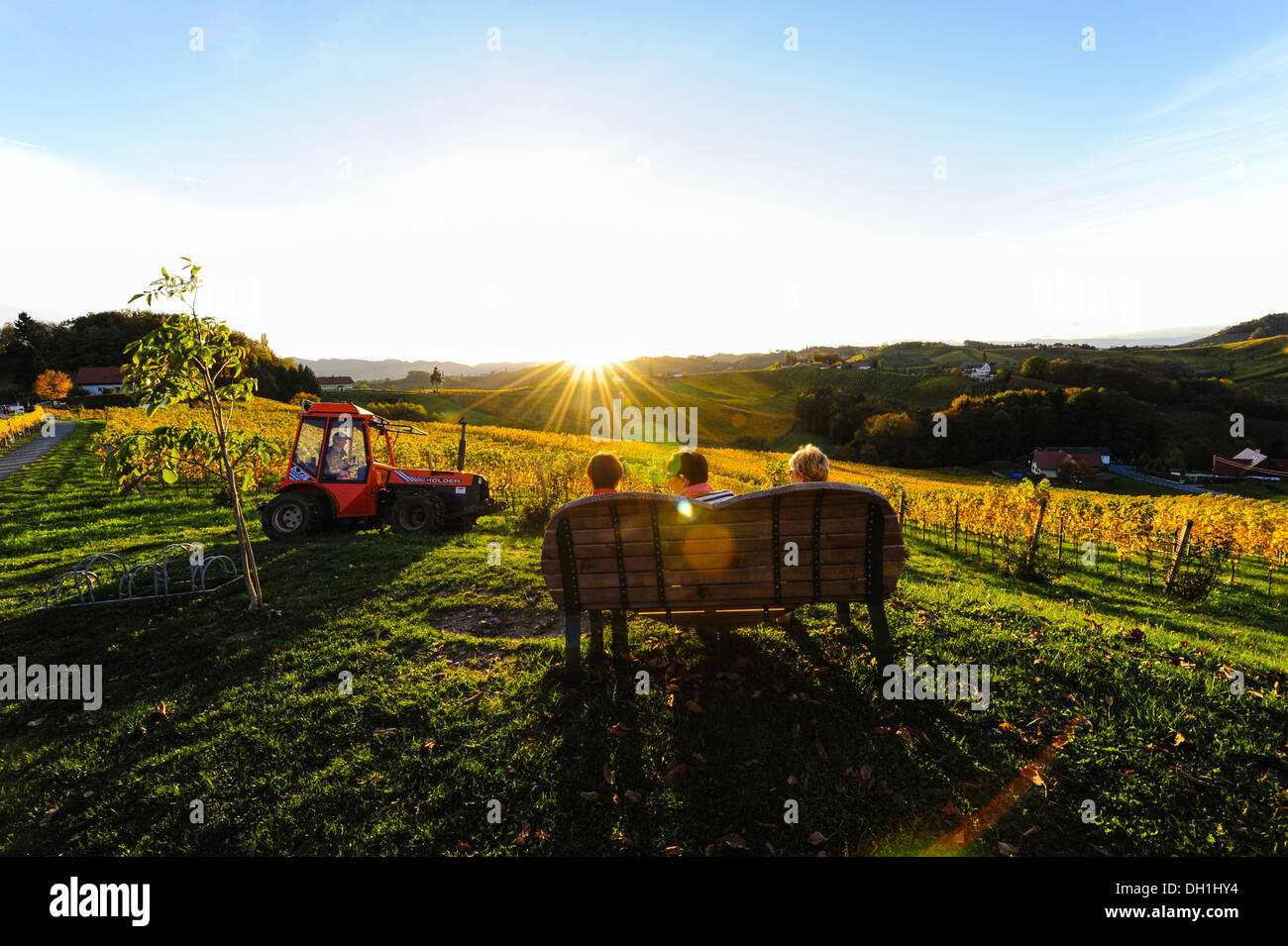 Suedsteirische Weinstrasse, Southern Styria wine route in autumn, Austria, Styria, Southern Styria, Ratsch Stock Photo