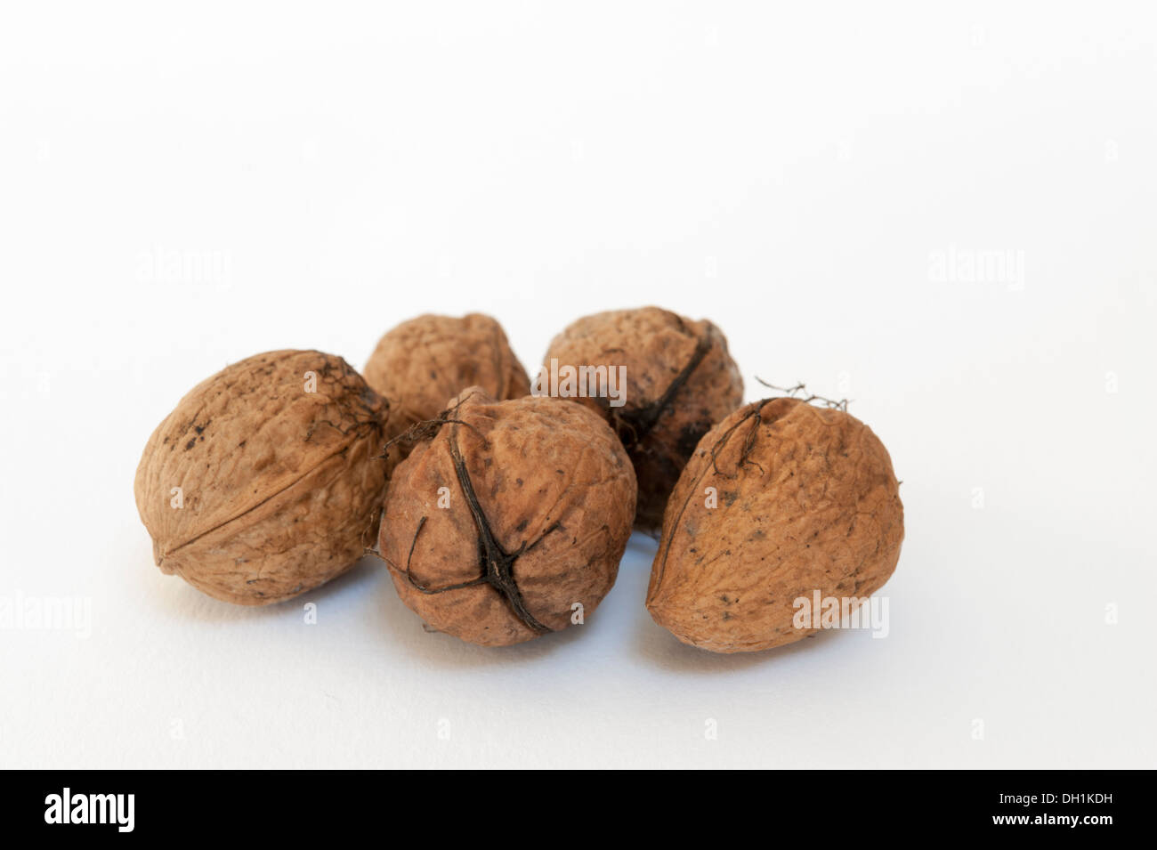 Wet walnuts on a white background Stock Photo Alamy