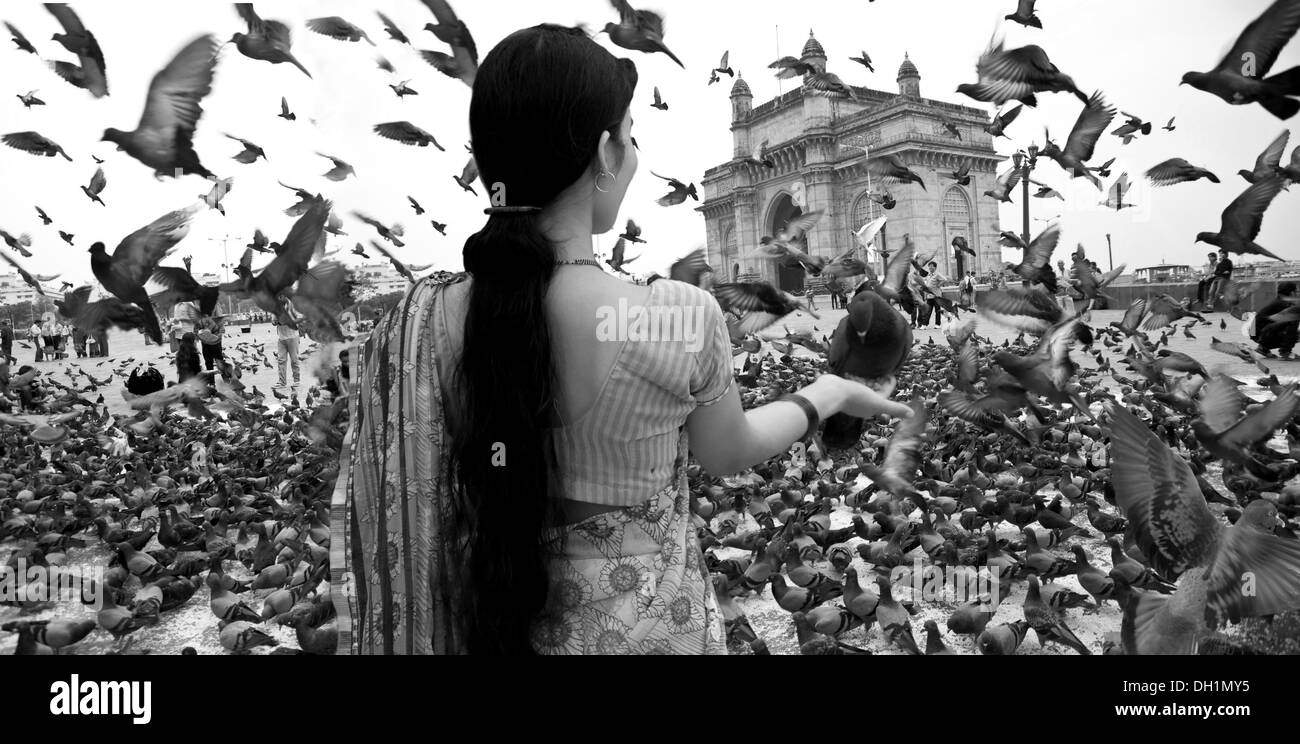 pigeon feeding from woman hand gateway of india mumbai maharashtra India Stock Photo