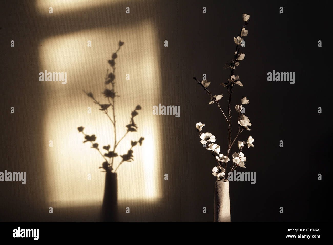 shadow of artificial flowers arrangement in vase on wall , Stock Photo