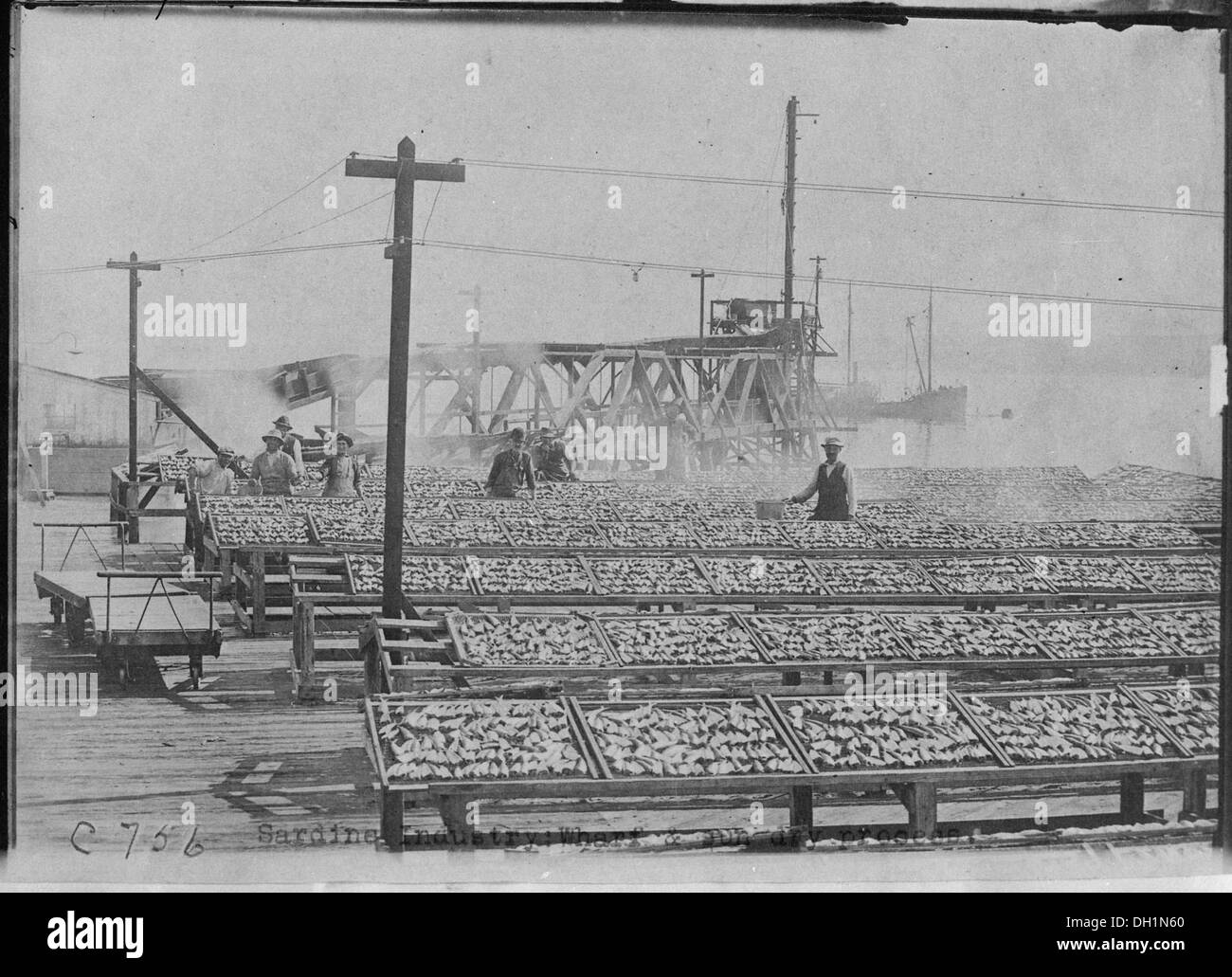 Sardine Industry, Wharf and sun dry process. Monterey, Calif., ca. 1908. 513093 Stock Photo Alamy