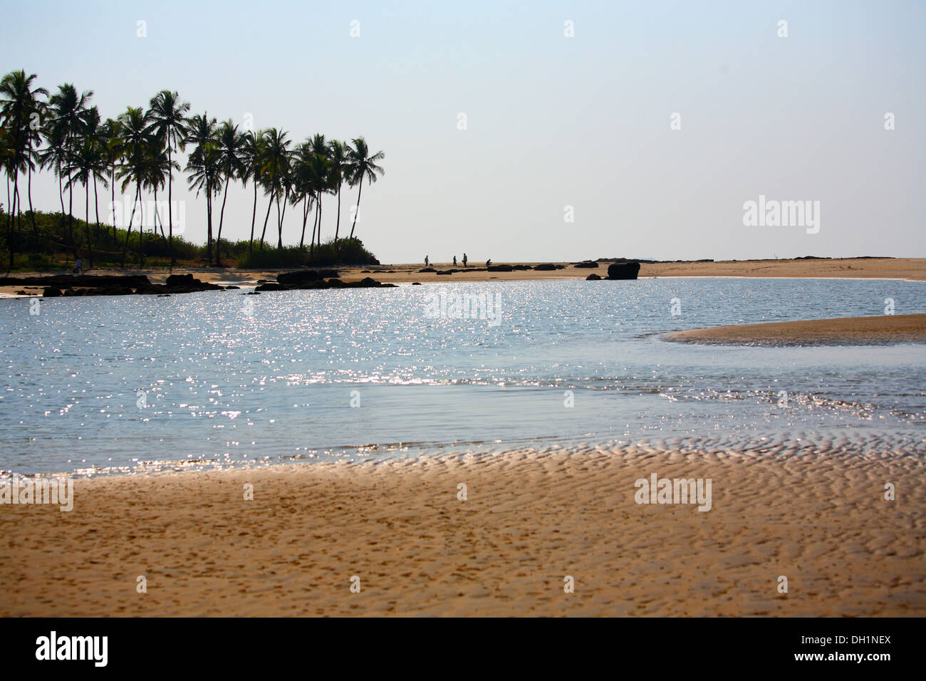 Bhogwe beach sindhudurg Maharashtra India Asia Stock Photo