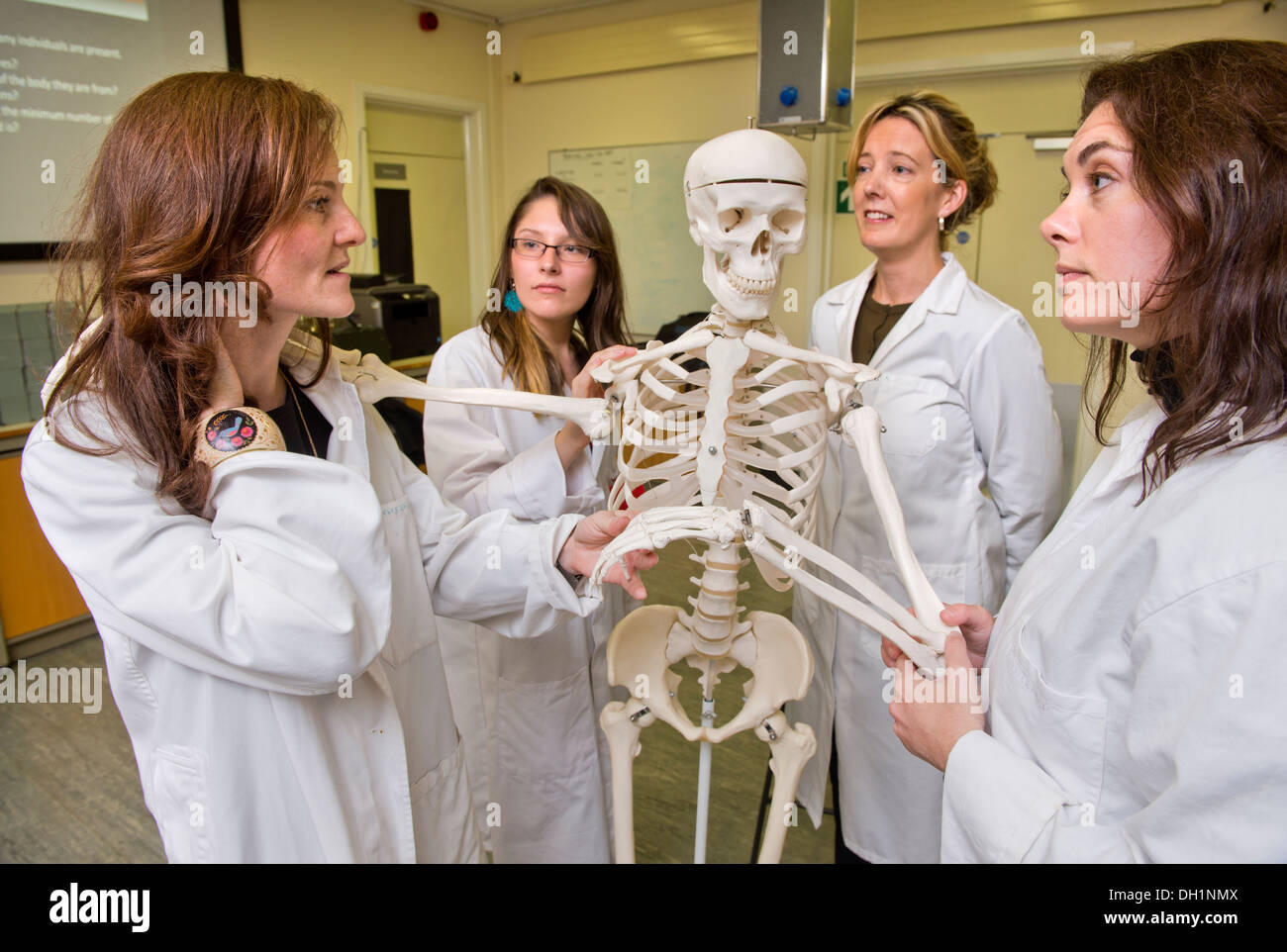 Students learn about bone identification with Forensic Anthropologist Dr Anna Williams (right) at the Forensic Institute of Cran Stock Photo