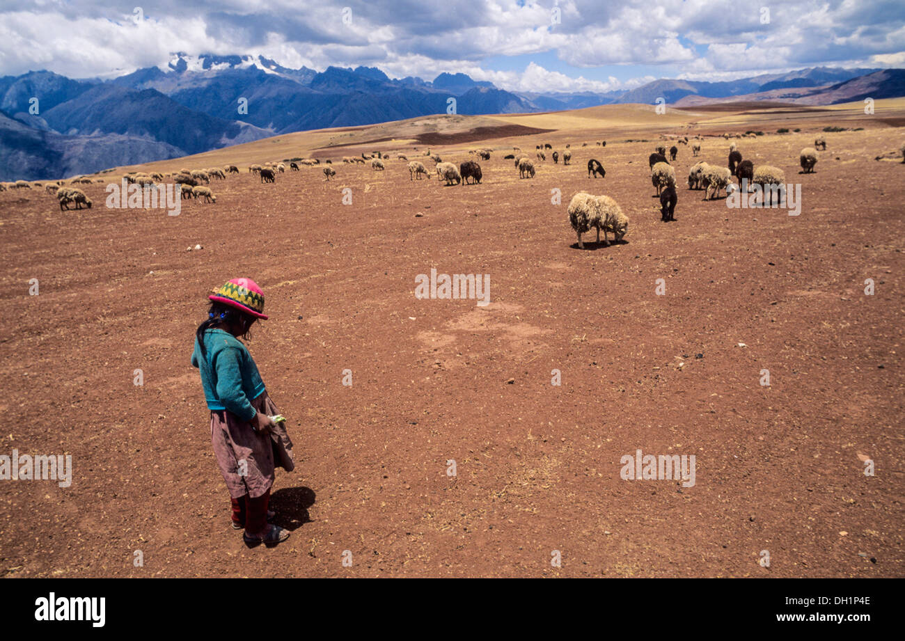 A local shepherd in Nevado Chicon and Urubamba valley. Peru Stock Photo