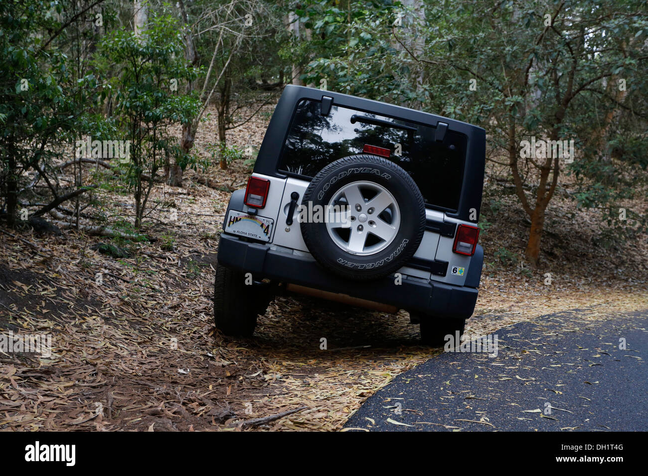 Jeep Wrangler parked on a slope, Big Island, Hawaii, USA Stock Photo - Alamy