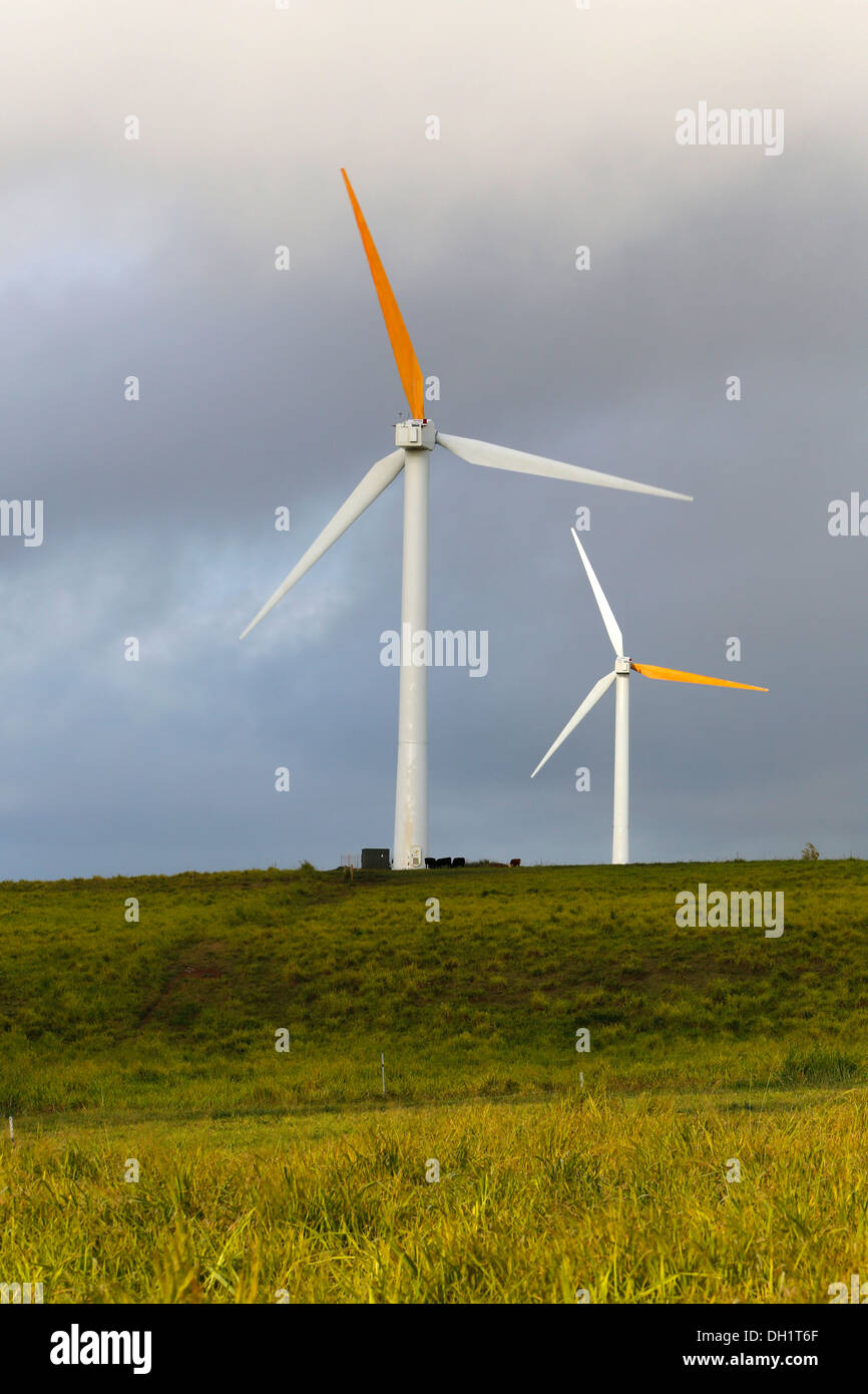 Wind farm, Kohala Coast, Big Island, Hawaii, USA Stock Photo Alamy