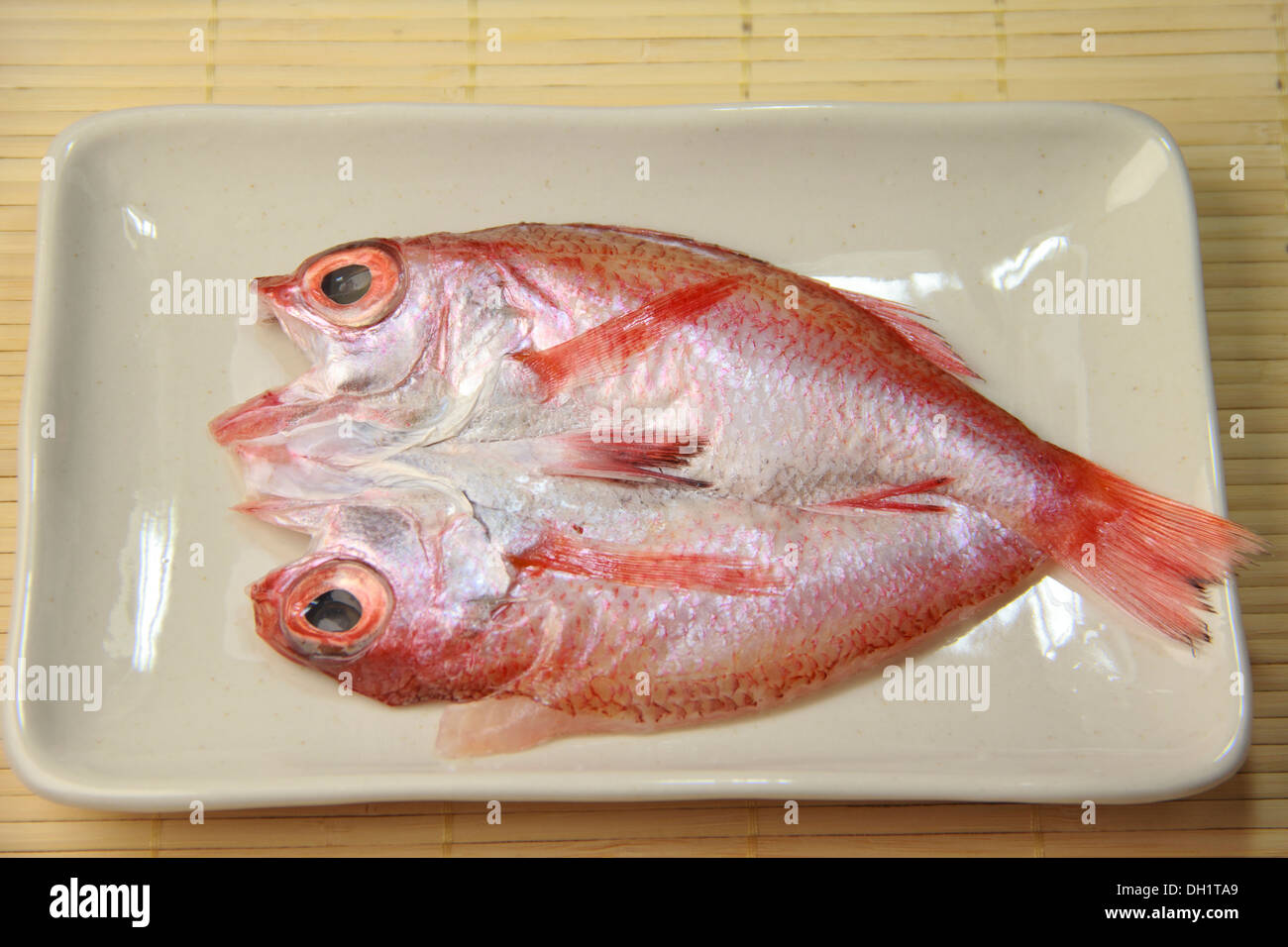 Rosy seabass Stock Photo