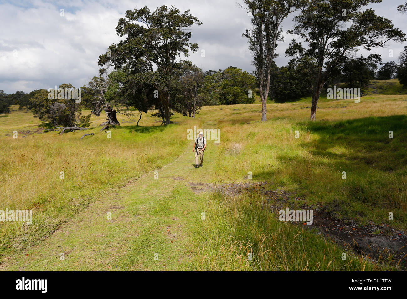 Hikers in the new Kahuku Unit of Hawaii Volcanoes National Park, Big