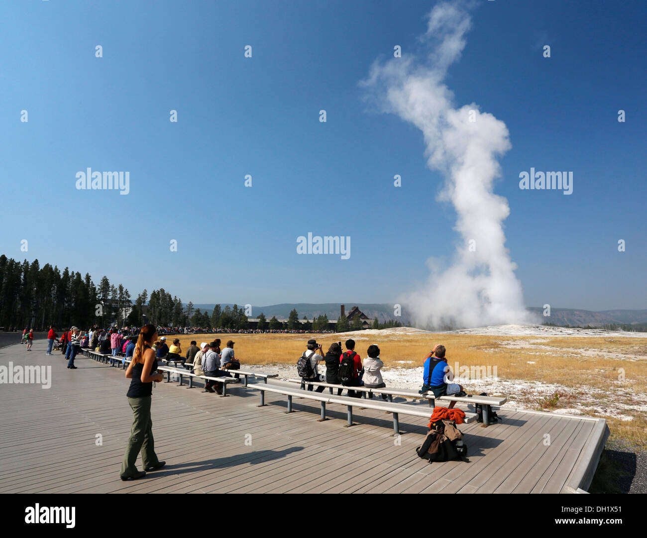 Strange Let's Watching the geyser apologise, but Understand you. Watching the geyser