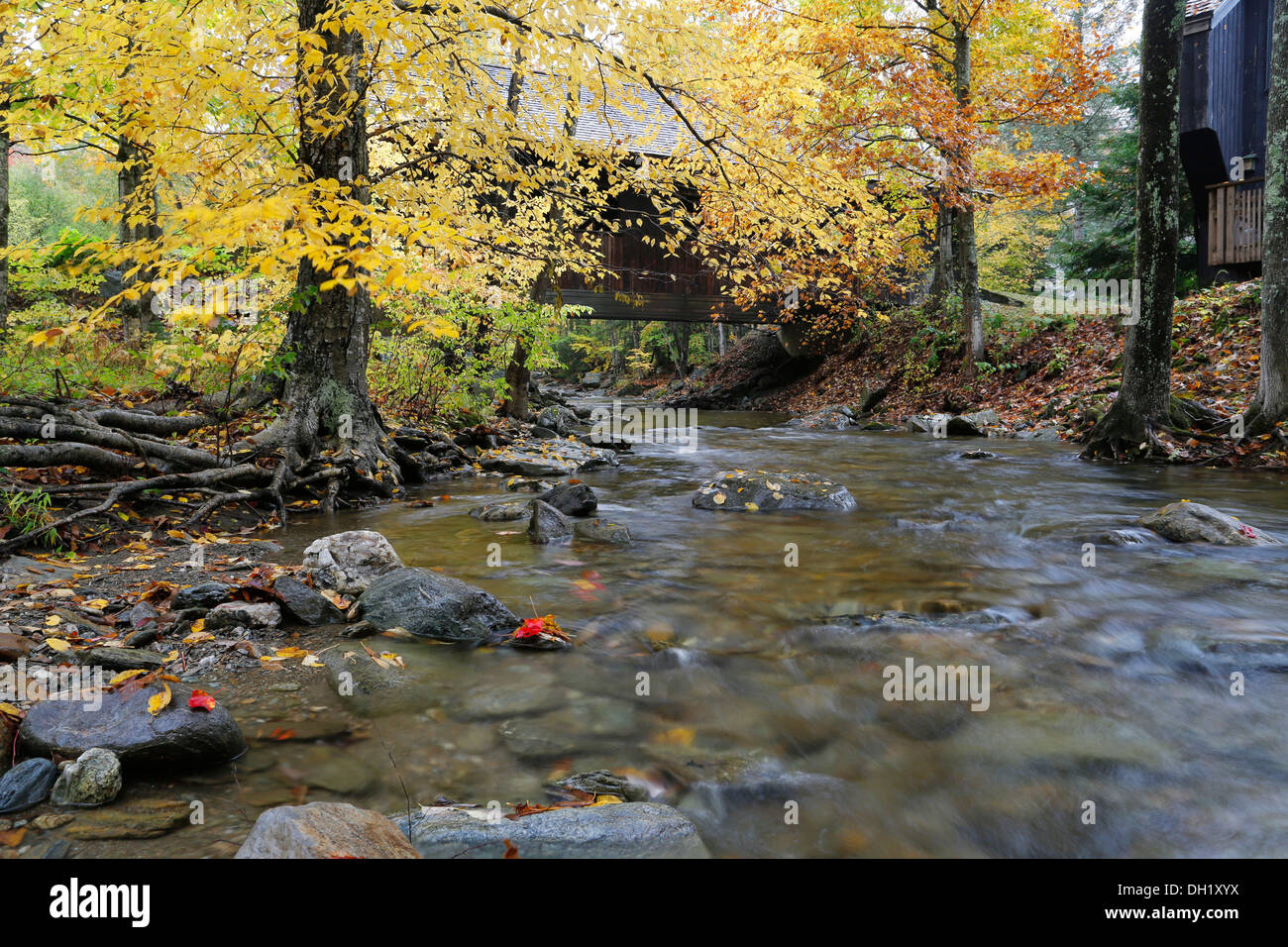 Battleground Covered Bridge in autumn, Mill Brook, Vermont, USA Stock Photo