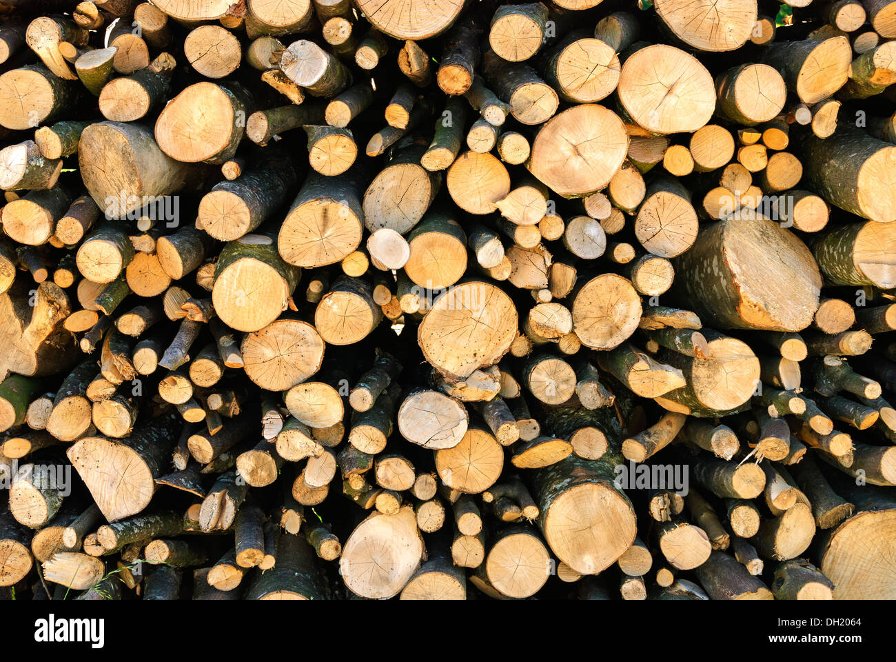 pile of wood to burn in the fireplace Stock Photo Alamy
