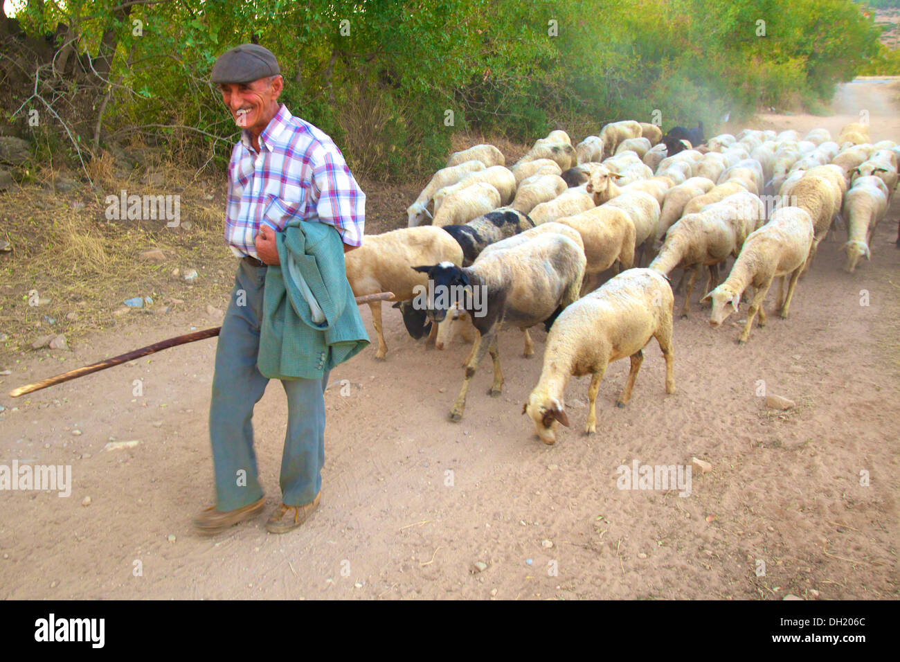 Goat herder hires stock photography and images Alamy