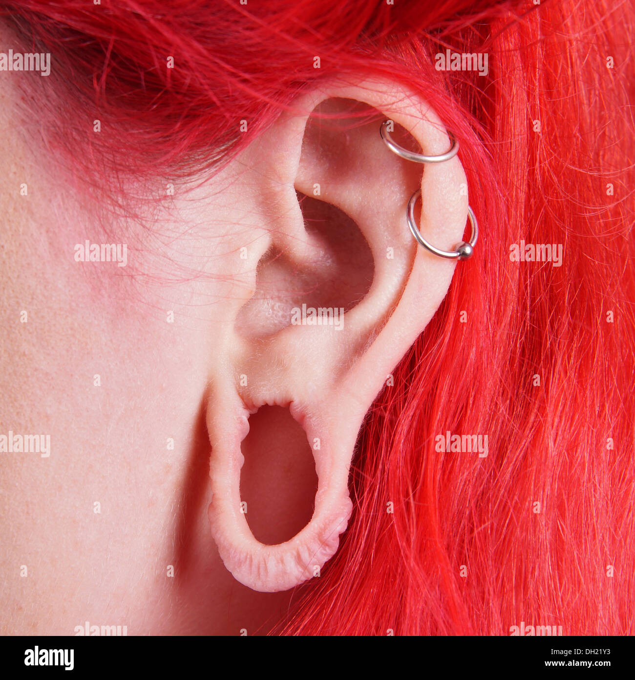 binnen afwijzing Vrijstelling stretched ear lobe piercing and 2 helix piercings Stock Photo - Alamy