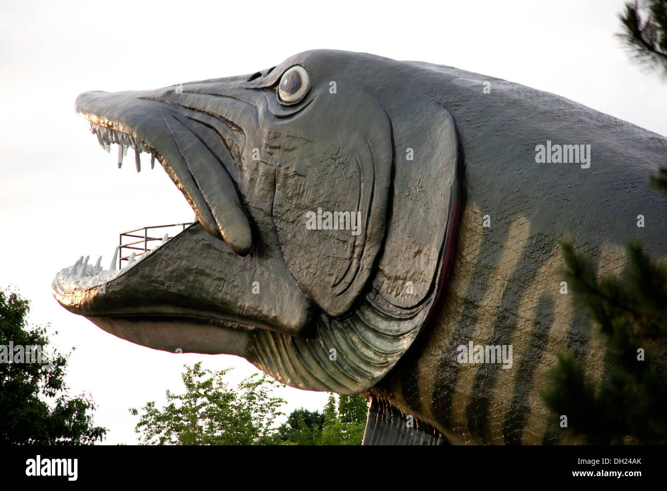 Giant muskellunge fish sculpture with mouth viewing station. Fresh
