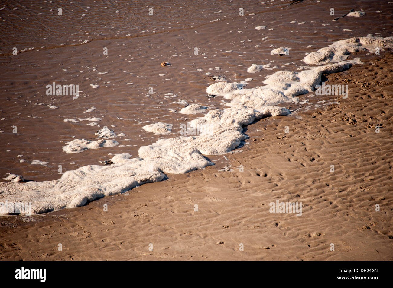 Foam Scum at tide edge beach waters Stock Photo
