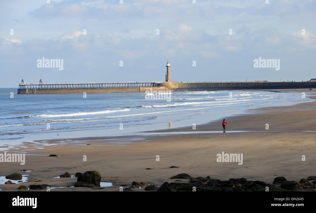 Women exercising the dog on the sandy beach of Whitby. Stock Photo